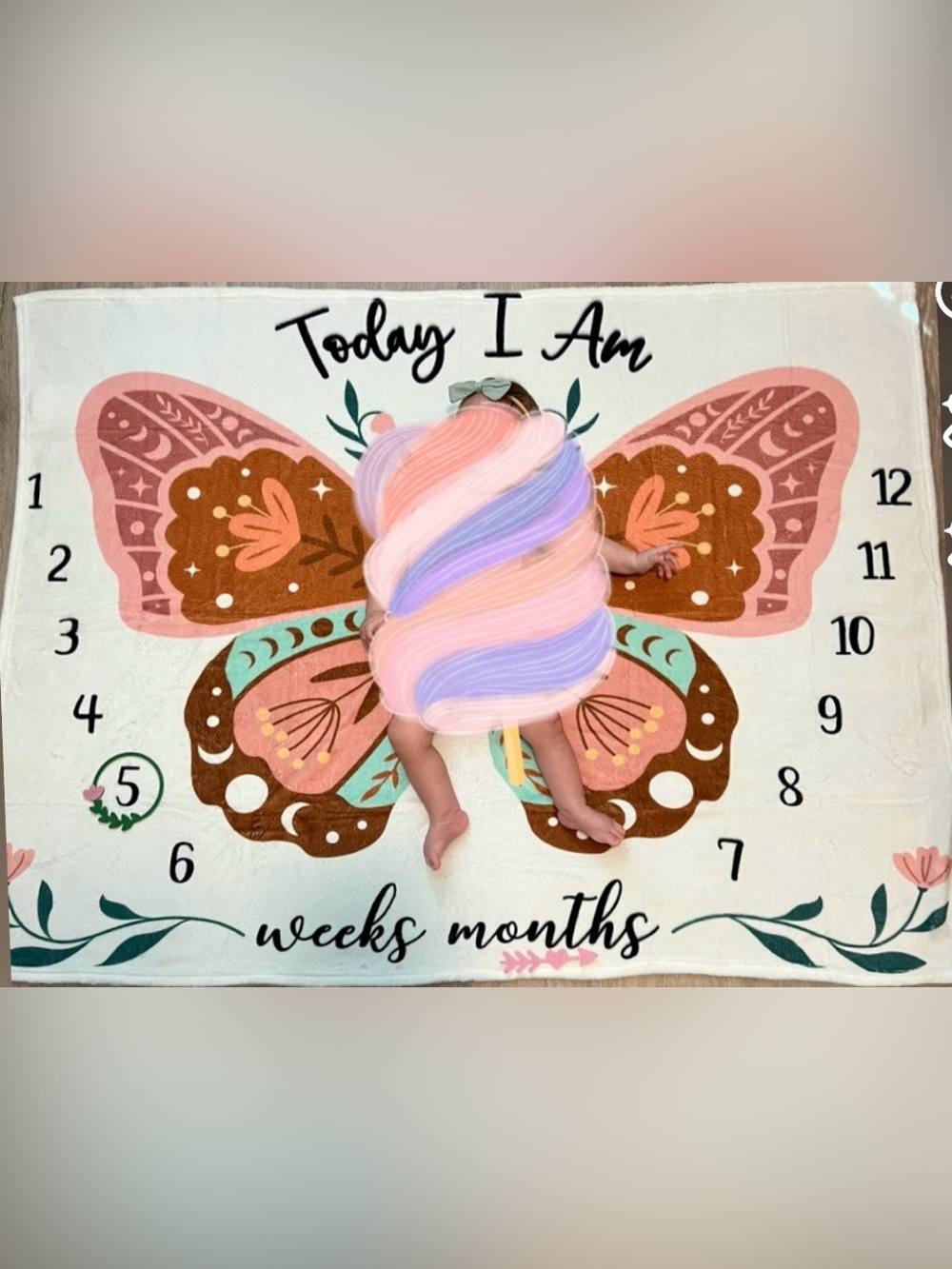 Butterfly/moth monthly milestones blanket